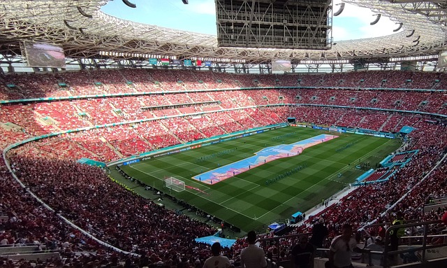 野和传球能 野和传球能