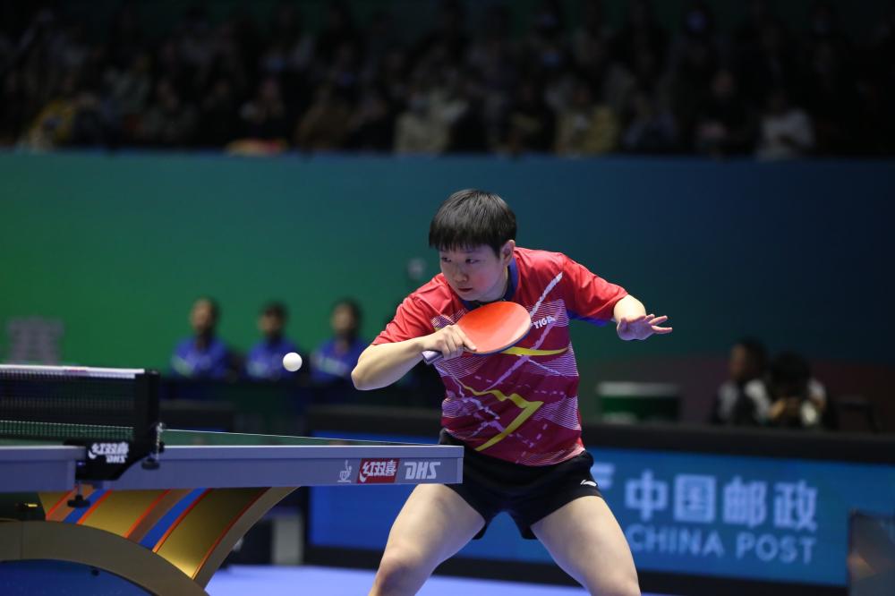 提出了新的 提出了新的