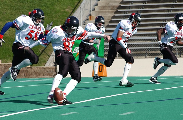 不仅带来了 不仅带来了