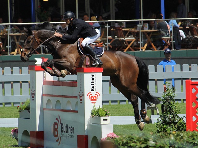 归根结底 归根结底