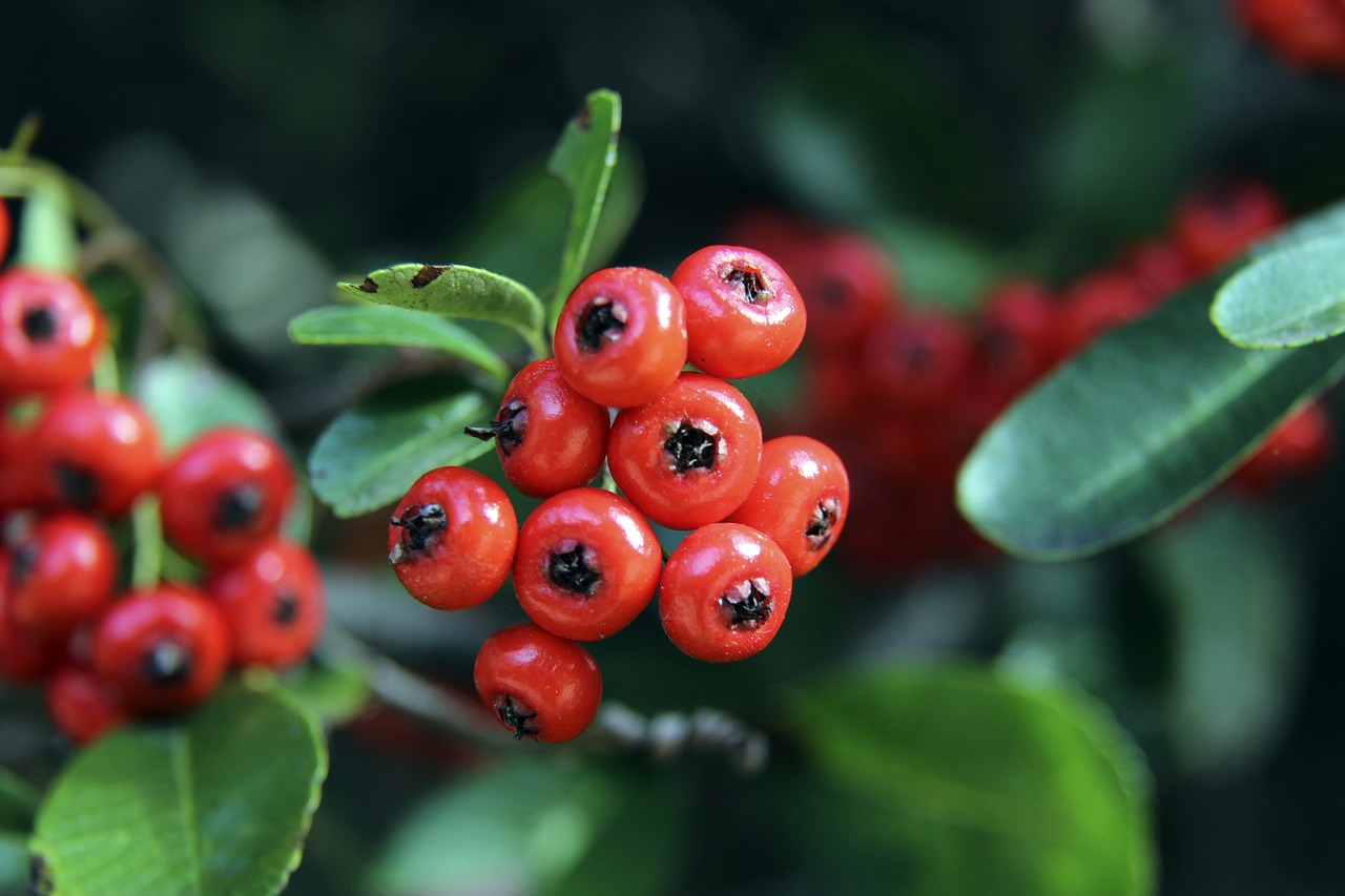 都需要为中 都需要为中